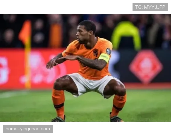 德国预选赛末轮大胜晋级 新老交替后梯队稳定性回升